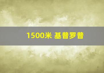 1500米 基普罗普